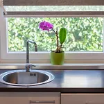 Magdalena Apartamento Rukavac (Primorje-Gorski Kotar)