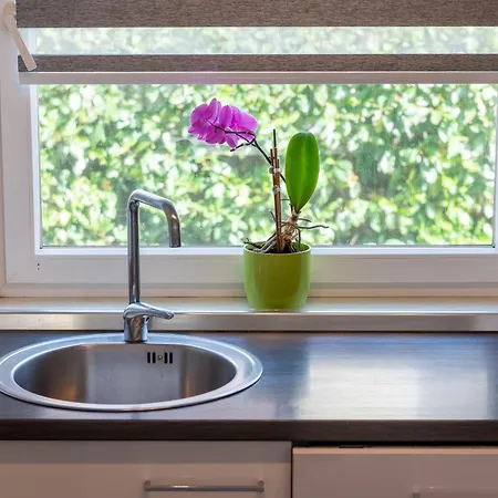 Magdalena Apartment Rukavac (Primorje-Gorski Kotar)